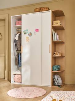 22 Idées Déco De Miroir Avec Rangement Ou étagère