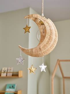 -Abat-Jour Lune