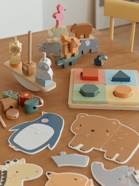 Vertbaudet - Coffret 5 jouets d’éveil – Essentiels dès 24 mois multicolore