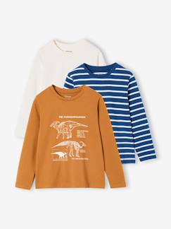 Lot de 3 t-shirts garçon  - vertbaudet enfant