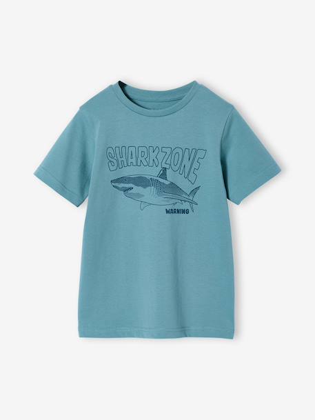 T-shirt garçon imprimé blanc chiné+bleu moyen+menthe+ocre+olive+terracotta+vert d'eau 21 - vertbaudet enfant 