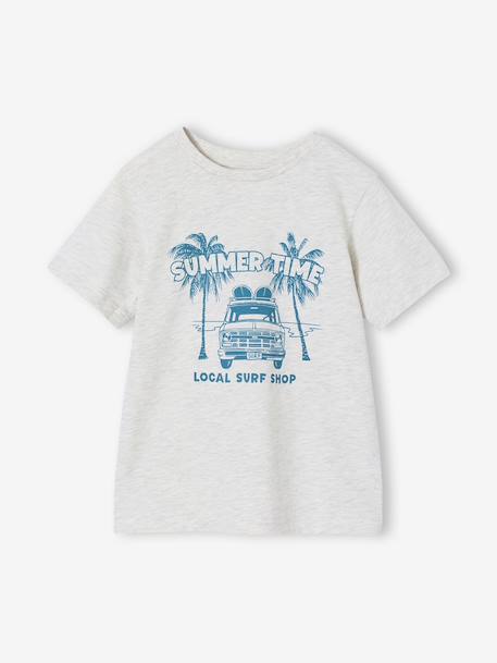 T-shirt garçon imprimé blanc chiné+bleu moyen+menthe+ocre+olive+terracotta+vert d'eau 1 - vertbaudet enfant 