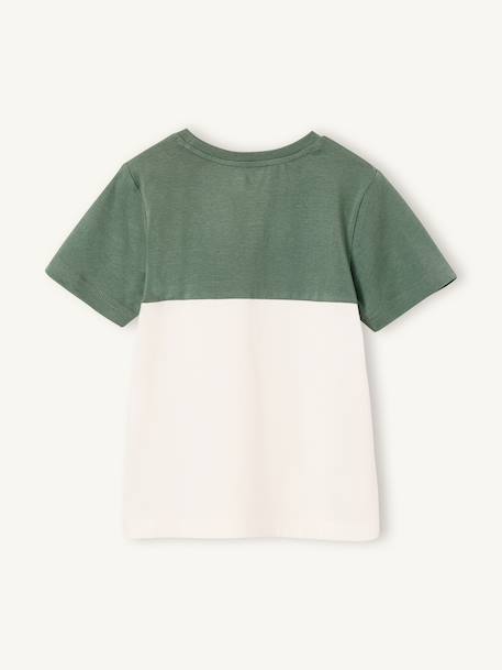 T-shirt garçon coloblock manches courtes ardoise+menthe+orange+vert anglais 24 - vertbaudet enfant 