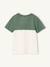 T-shirt garçon coloblock manches courtes ardoise+menthe+orange+vert anglais 24 - vertbaudet enfant 