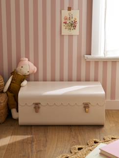 -Malle de rangement FESTON