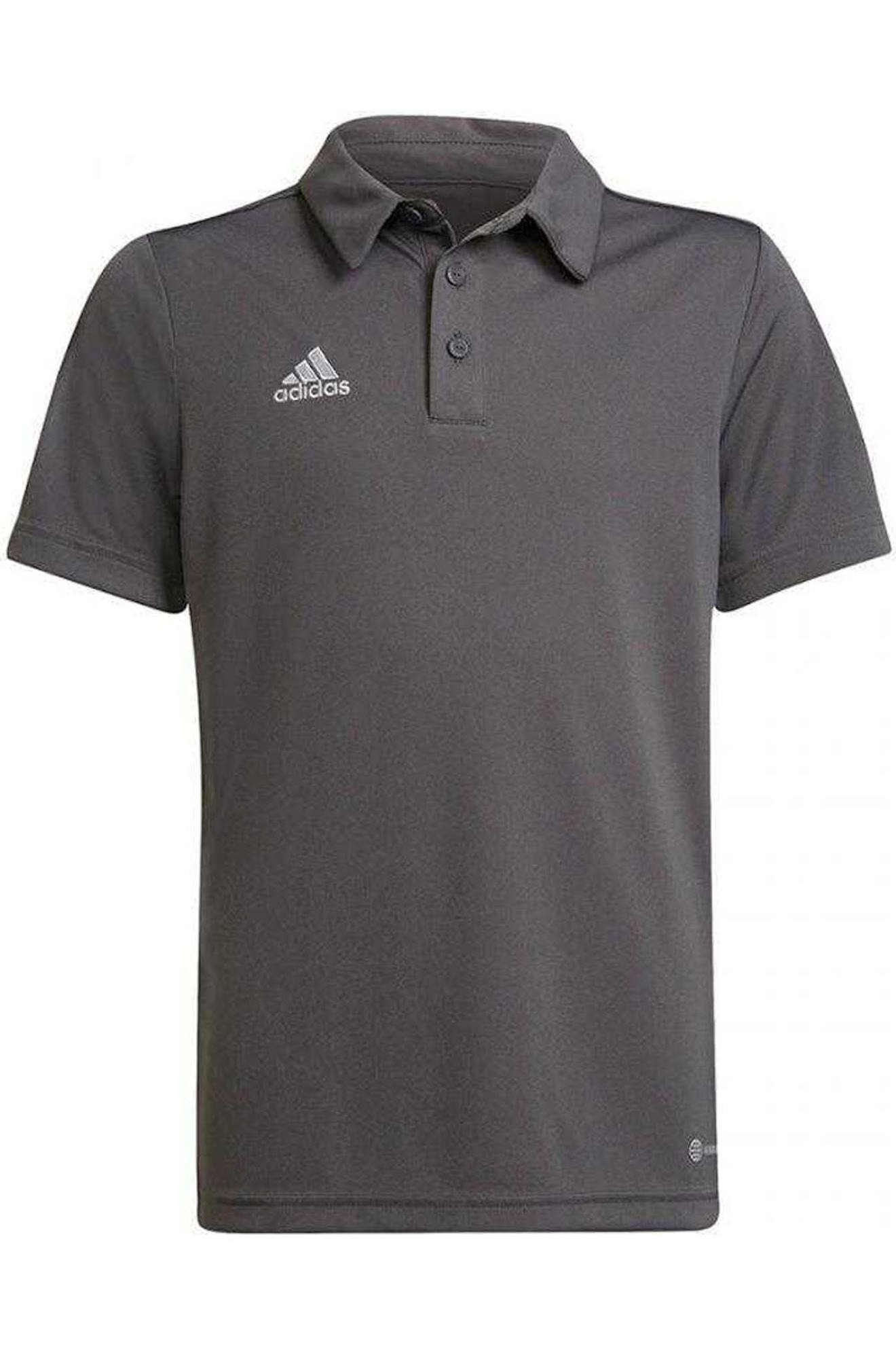Polo Entrada Entrada 22 Gris