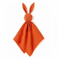 Jouet-Premier âge-Doudou lange en coton bio