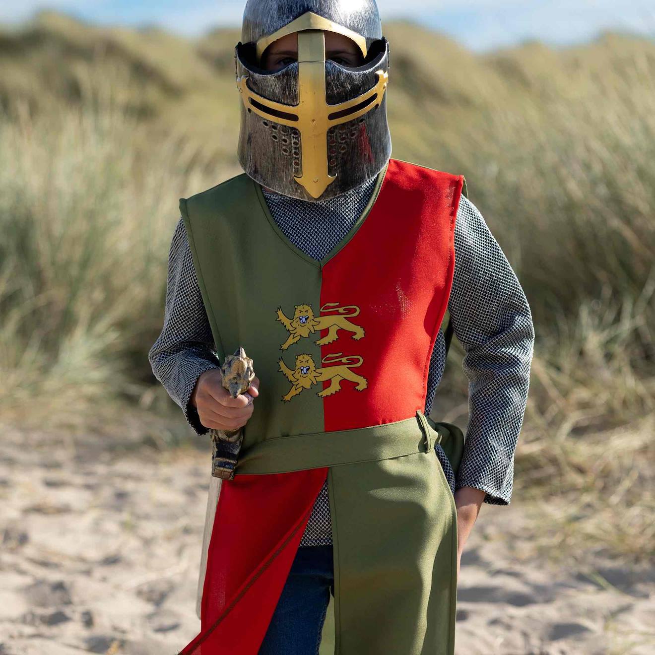 Déguisement Chevalier - William Gris (Pioupiou Et Merveilles) - Image 2