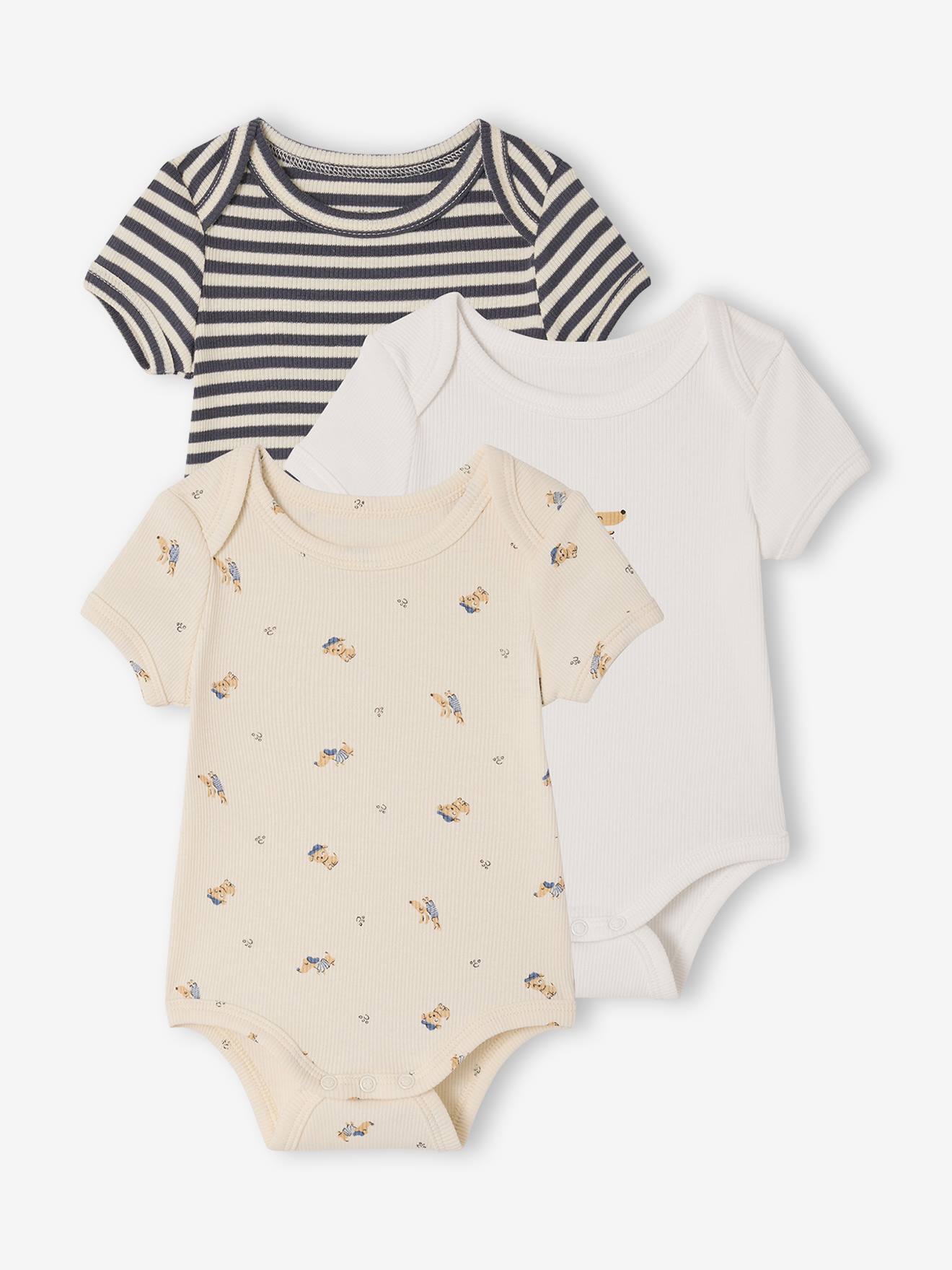 Lot 3 bodies bébé manches courtes chien anthracite