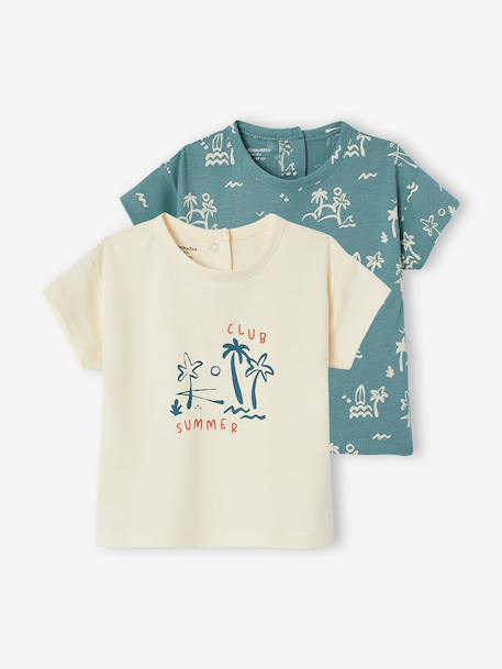 Bébé-T-shirt, sous-pull-T-shirt-Lot 2 t-shirts manches courtes bébé