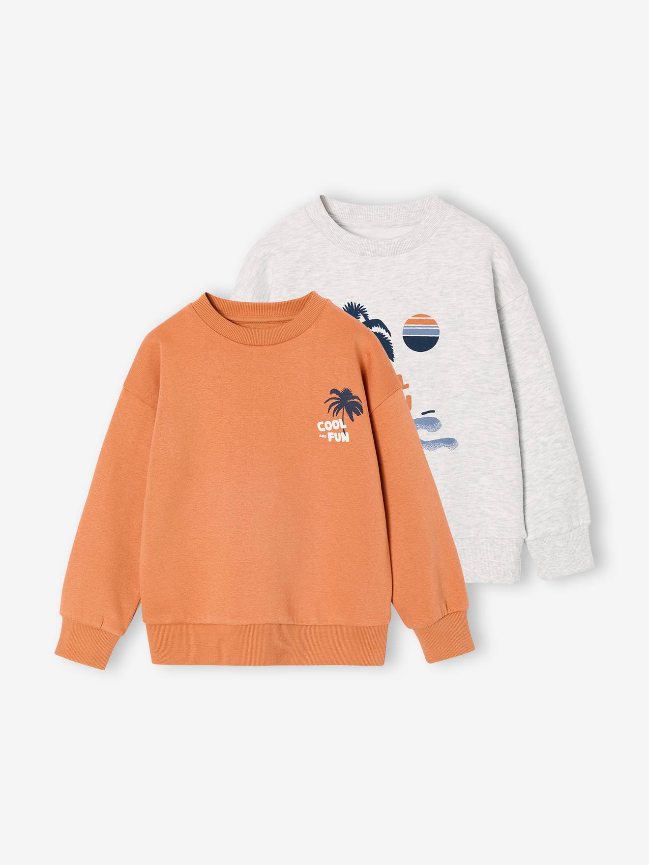 Lot de 2 sweats Cool and Fun tomette