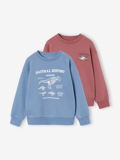 Garçon-Lot de 2 sweats "Cool and Fun"