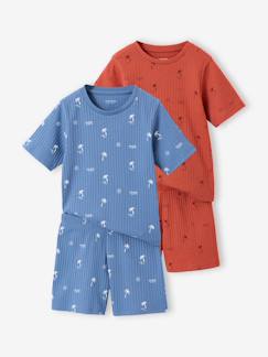 Lot 2 pyjama short garçon  - vertbaudet enfant