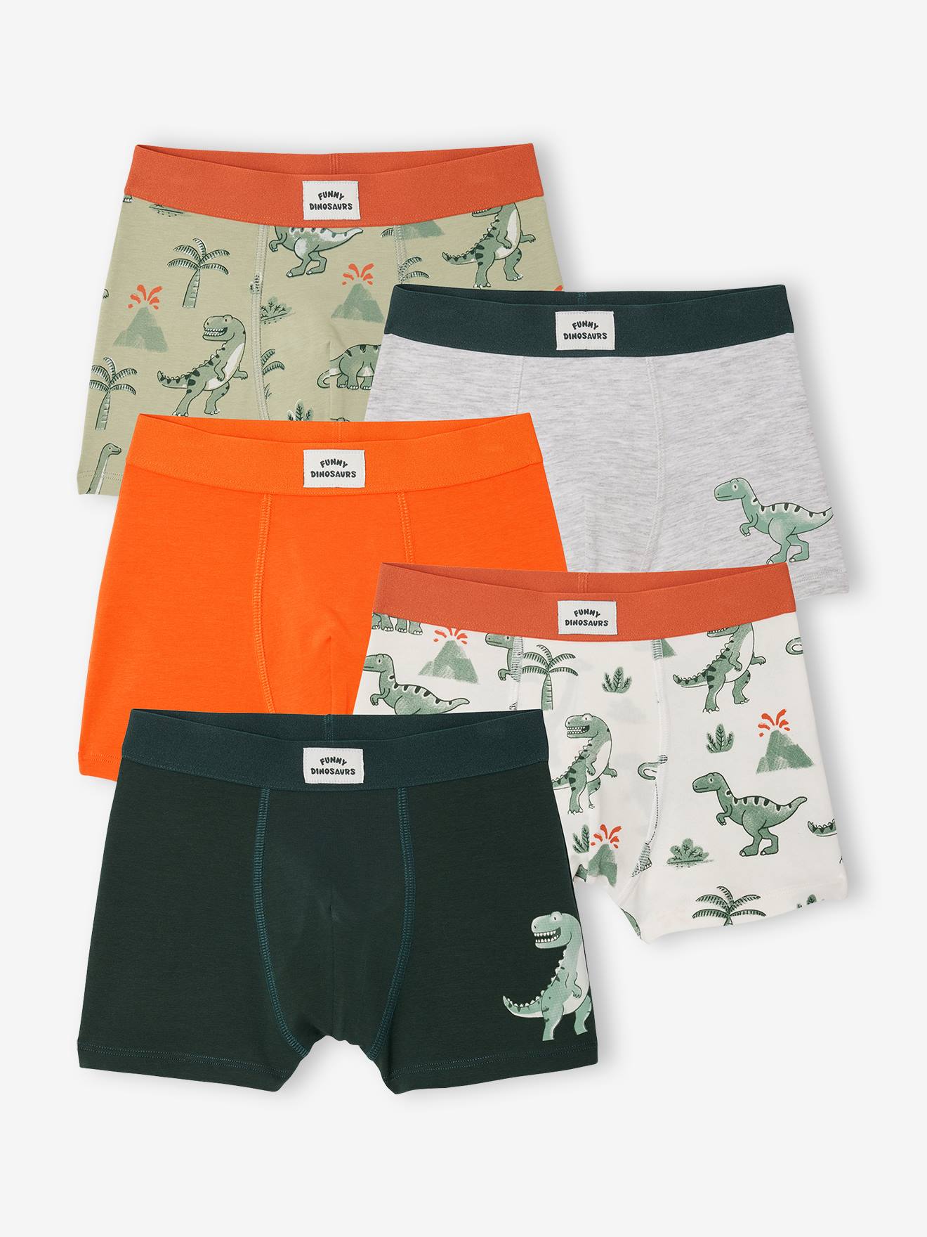 Lot 5 boxers dino encre