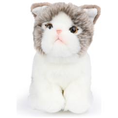 Jouet-Peluche amélie le chat scottish fold - 17 cm - boite cadeau