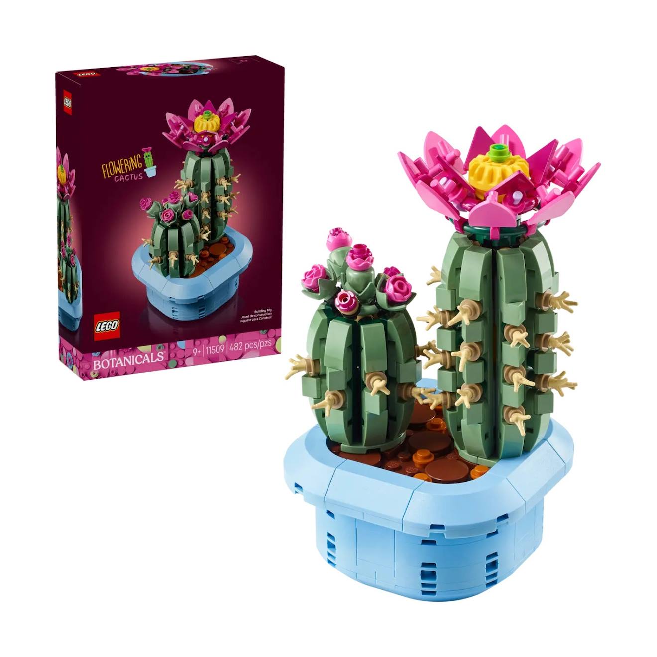 Botanicals cactus fleuri 11509 multicolore