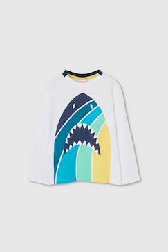T-shirt enfant à manches longues en coton  - vertbaudet enfant