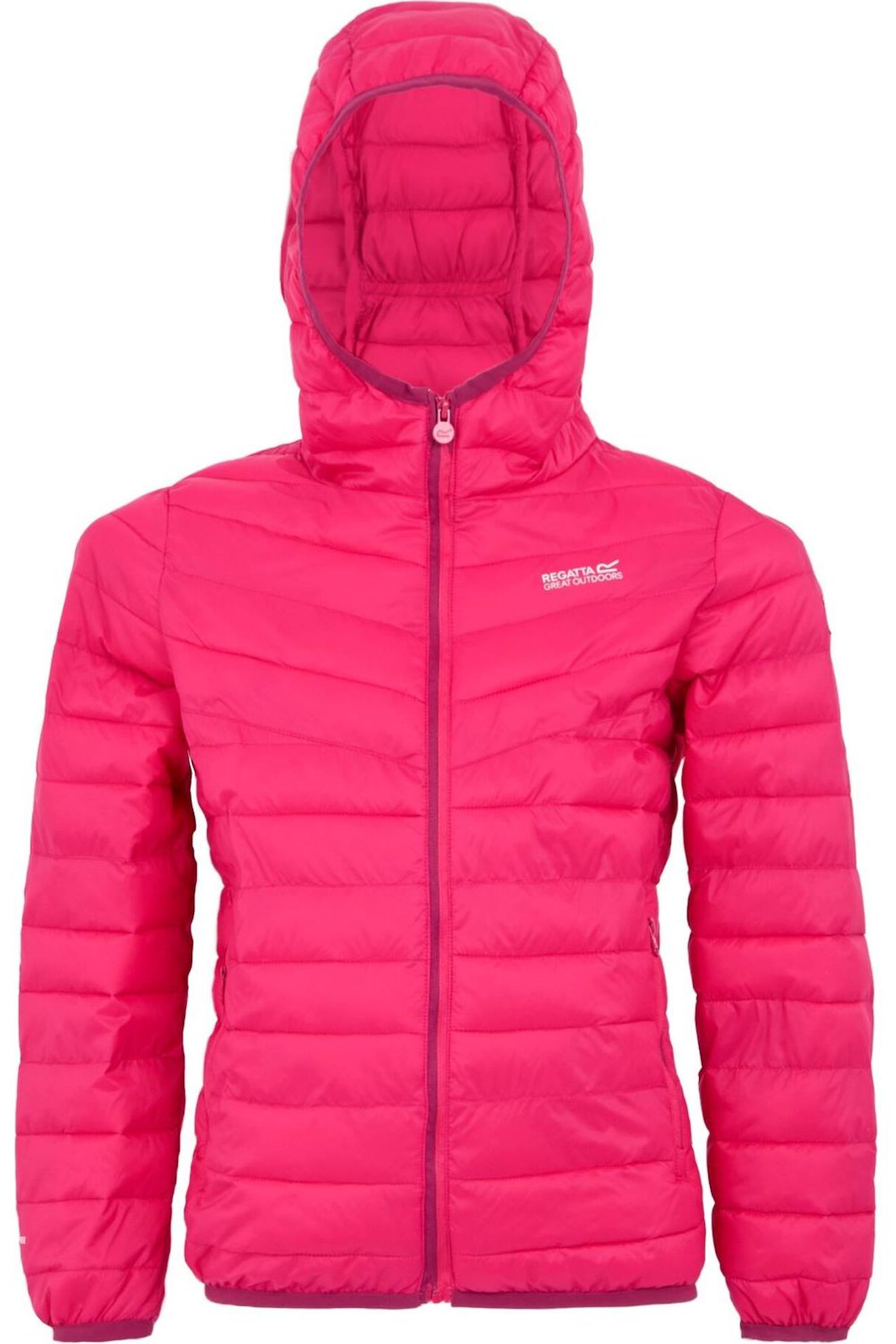 Veste À Capuche Hillpack Iii Pop