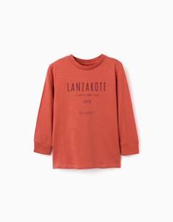 T-shirt en coton à manches longues work of art  - vertbaudet enfant