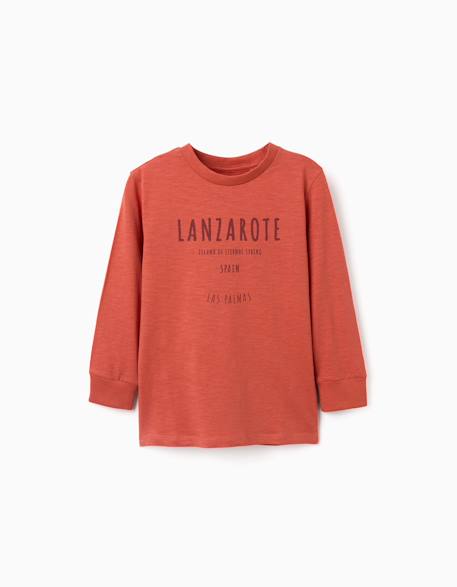 T-shirt en coton à manches longues work of art  - vertbaudet enfant