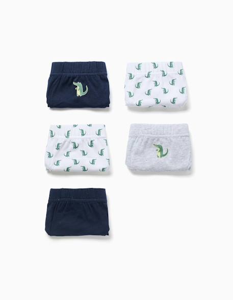 Lot de 5 slips en coton avec crocodiles imprimés  - vertbaudet enfant