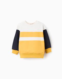 Sweat en coton avec bloc de couleurs  - vertbaudet enfant