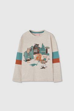 Garçon-T-shirt, polo, sous-pull-T-shirt garçon coton manches longues