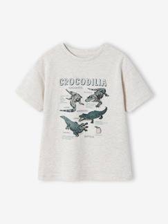 Garçon-T-shirt, polo, sous-pull-T-shirt-T-shirt manches courtes garçon