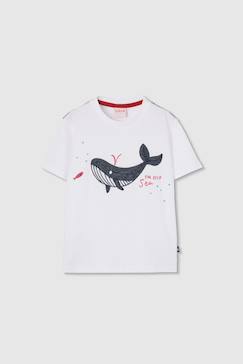 T-shirt enfant coton baleine  - vertbaudet enfant