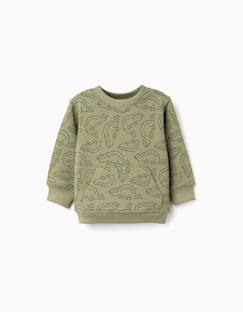 Sweat en coton avec motif caméléon  - vertbaudet enfant