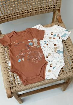 Lot de 2 bodies bébé manches courtes kansas city  - vertbaudet enfant