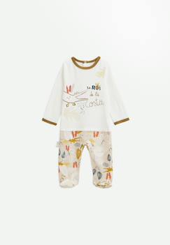 Petit Béguin Lot De 2 Bodies Bébé Manches Longues Cache-Cache - Vert Et Écru Avec Paresseux