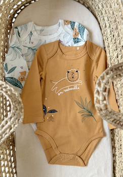 Lot de 2 bodies bébé manches longues charly  - vertbaudet enfant