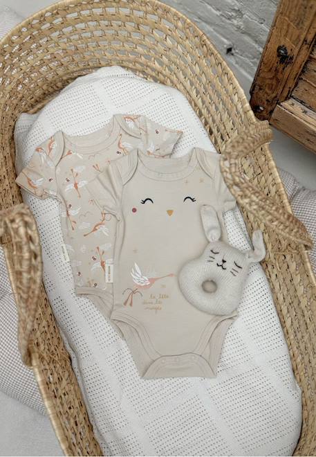Bébé-Lot de 2 bodies bébé manches courtes poésie d'été
