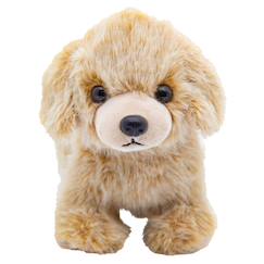 Jouet-Premier âge-Peluche chien doudou ultra doux nougat