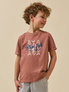 T-shirt imprimé garçon - coton biologique  - vertbaudet enfant