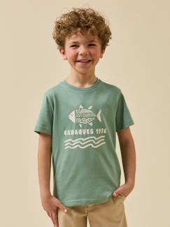 T-shirt imprimé garçon - coton biologique  - vertbaudet enfant
