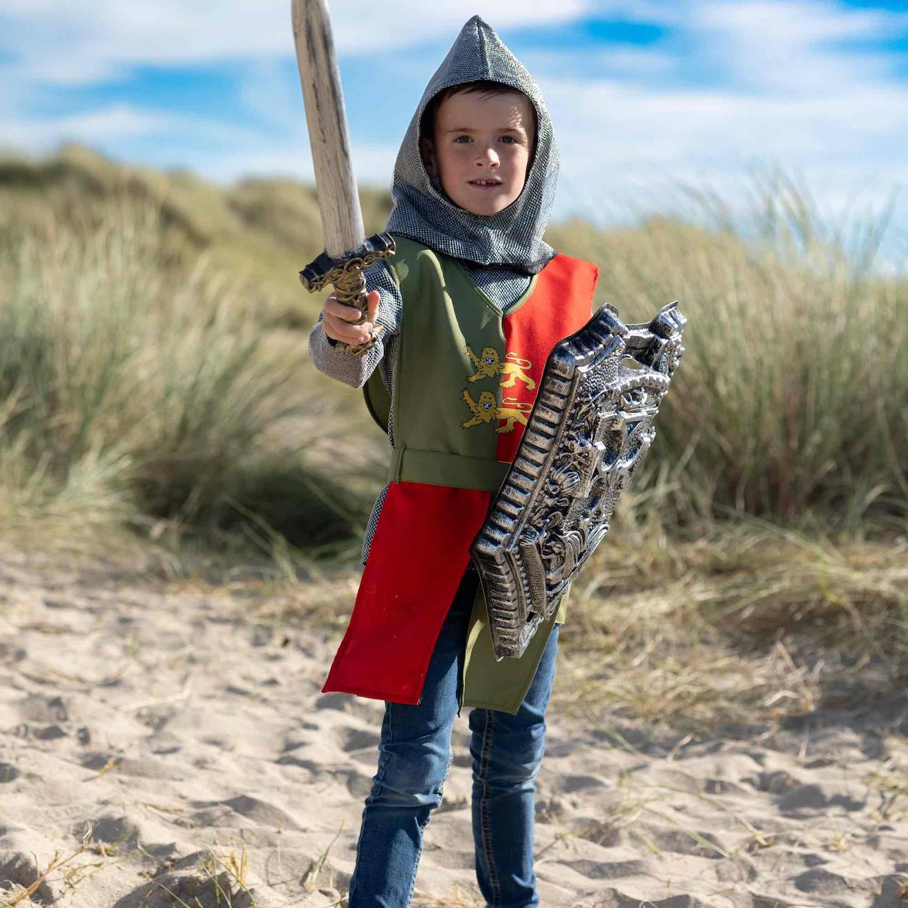 Déguisement Chevalier - William Vert (Pioupiou Et Merveilles) - Couverture