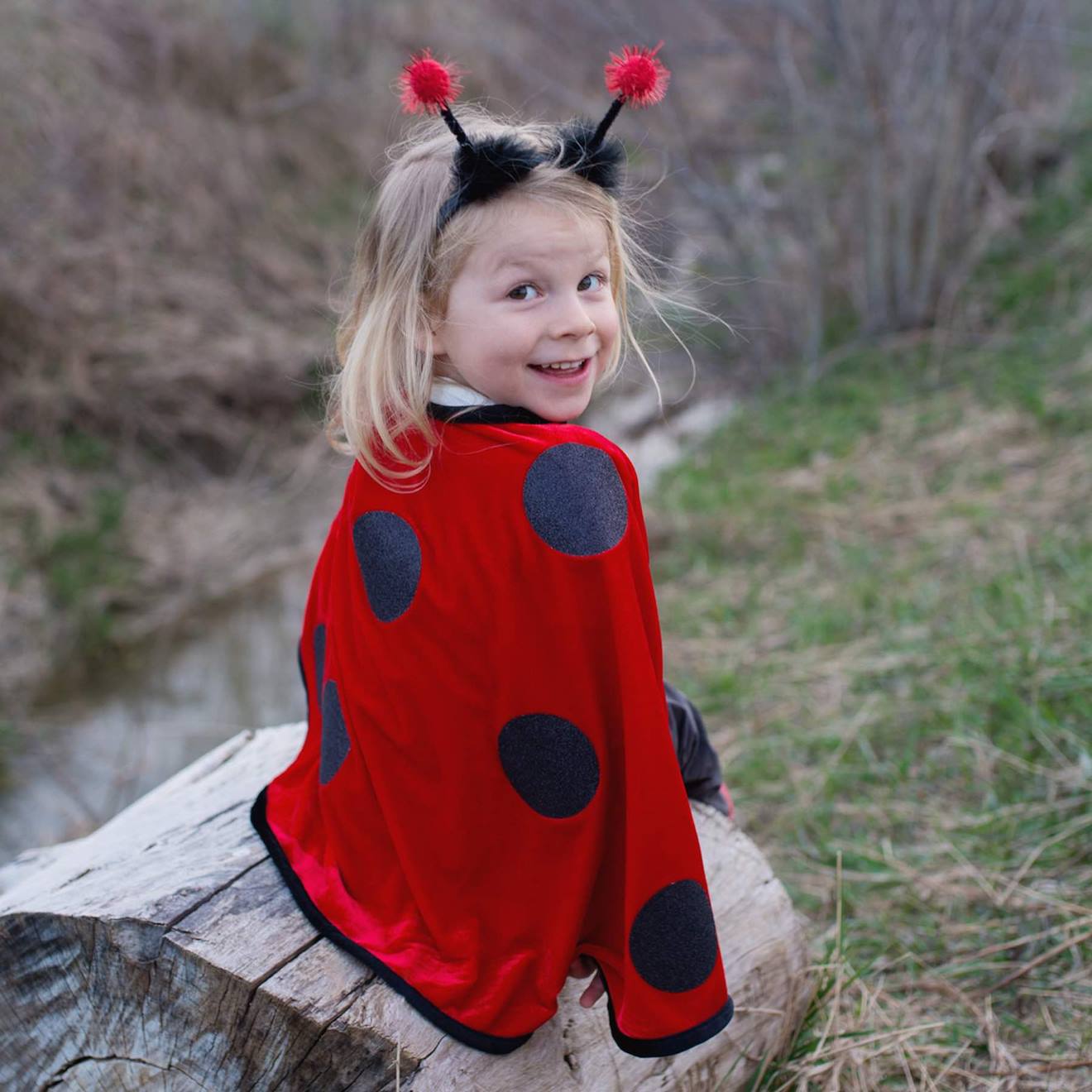 Déguisement Cape De Coccinelle Avec Serre-tête Coccinelle, Rouge