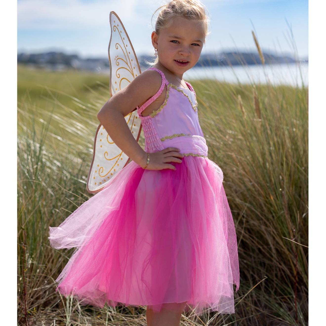 Déguisement Enfant Robe De Fée Noa Avec Ailes Dorées Rose