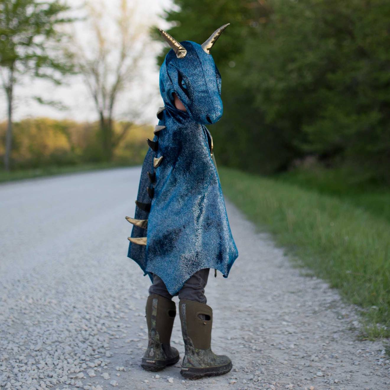 Déguisement Enfant Cape De Dragon Starry Night Bleu Déguisement Enfant Cape De Dragon Starry Night Bleu