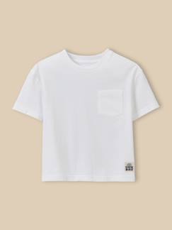 Garçon-T-shirt, polo, sous-pull-T-shirt garçon - coton biologique