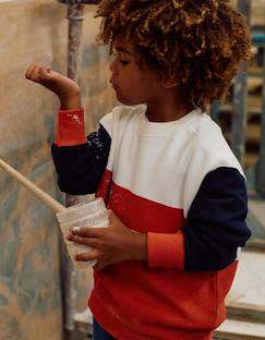 Sweat en coton avec blocs de couleur  - vertbaudet enfant