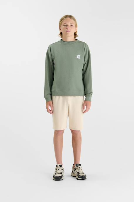 Sweat-shirt jayobo Nomad 2 - vertbaudet enfant 