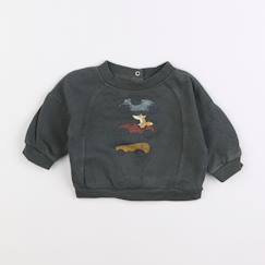 Seconde main-Garçon-Pull, gilet, sweat-Sweat - 3 mois