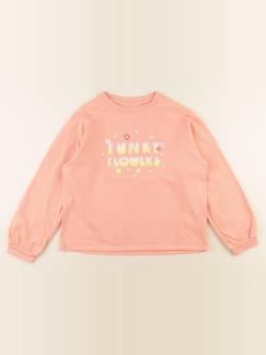 Sweat - 10 ans  - vertbaudet enfant