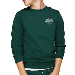Sweat garçon logo puff  - vertbaudet enfant