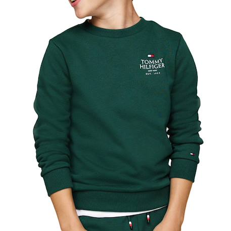 Garçon-Sweat garçon logo puff