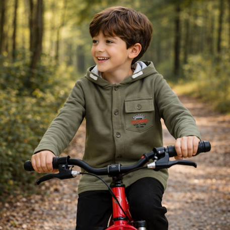 Veste sweat à capuche boutonnée garçon Ecru+Kaki+Marine 7 - vertbaudet enfant 