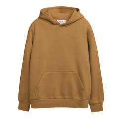-Sweat garçon à capuche snark